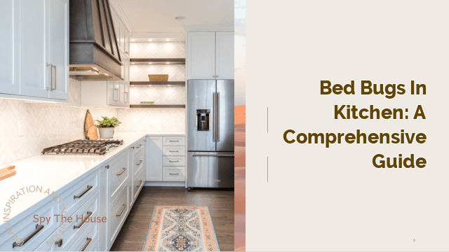 Bed Bugs in Kitchen: A Comprehensive Guide